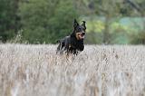 BEAUCERON 570